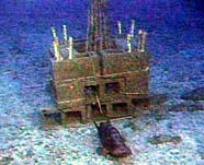 Image of an artificial reef